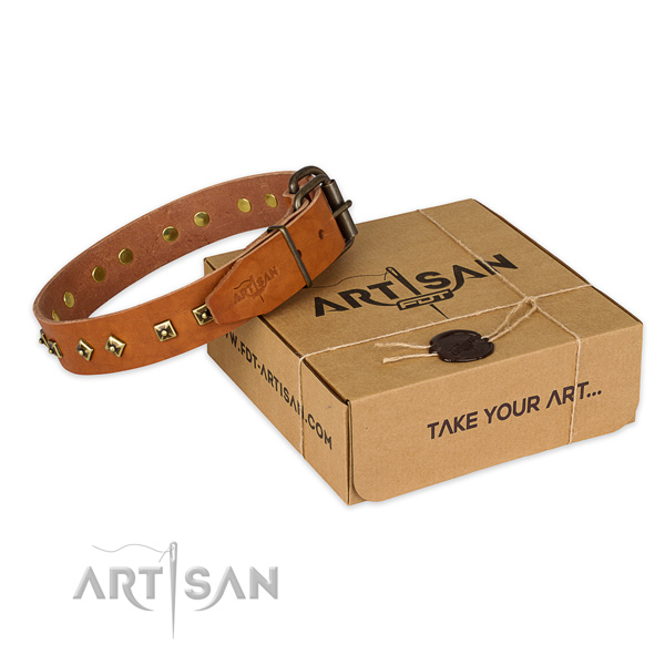 Corrosion resistant fittings on genuine leather dog collar for handy use