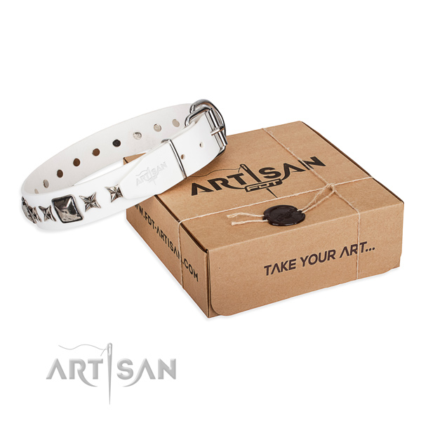 Everyday walking full grain leather dog collar with adornments