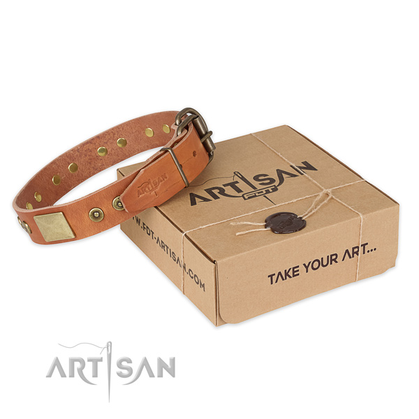 Corrosion resistant buckle on full grain leather dog collar for walking