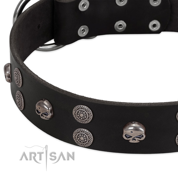 Top notch genuine leather dog collar with extraordinary embellishments