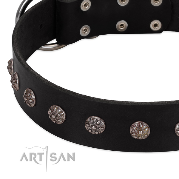 Reliable full grain genuine leather dog collar with unusual embellishments