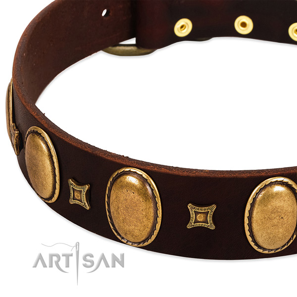 Genuine leather dog collar with reliable D-ring for comfortable wearing