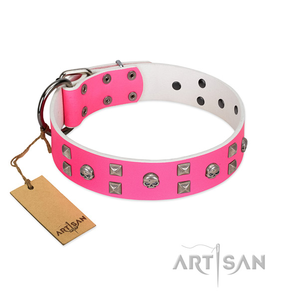 Easy to adjust leather dog collar for basic training