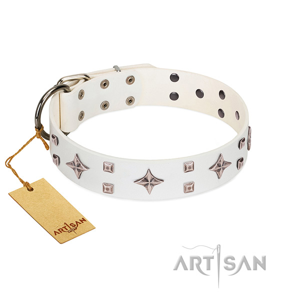 Awesome genuine leather collar for your canine walking
