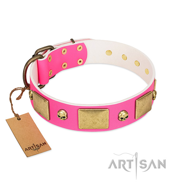 Best quality leather collar with corrosion resistant embellishments for your doggie