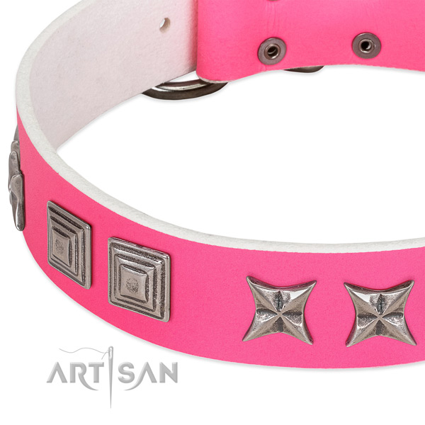 Reliable leather dog collar with rust resistant hardware