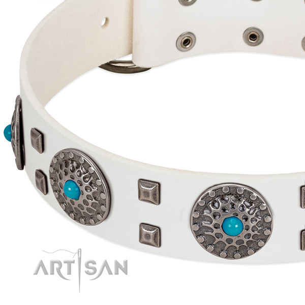 Top notch full grain natural leather dog collar with inimitable embellishments
