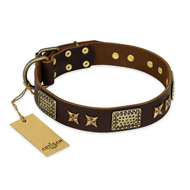 "Sparkling Bronze" FDT Artisan Genuine Leather Cane Corso Collar with Bronze Look Stars and Plates