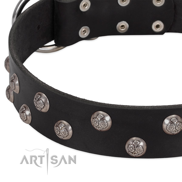 Full grain leather dog collar with rust-proof buckle and studs
