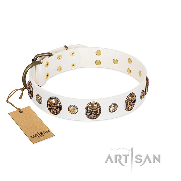 Remarkable full grain leather dog collar for everyday walking