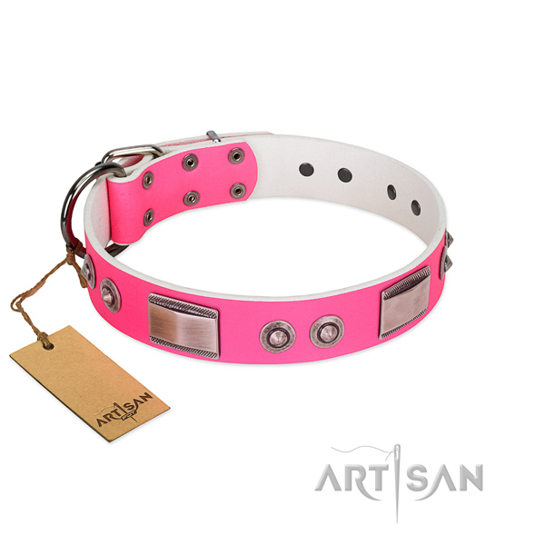 Amazing leather collar with adornments for your doggie