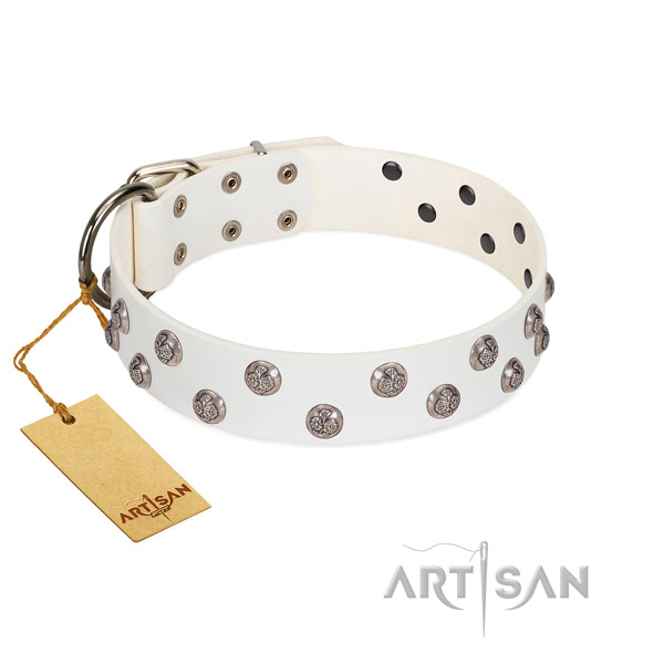 Fashionable full grain genuine leather dog collar with reliable fittings