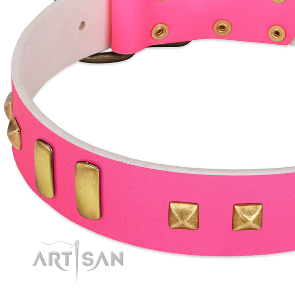 Comfortable leather collar for your beautiful pet