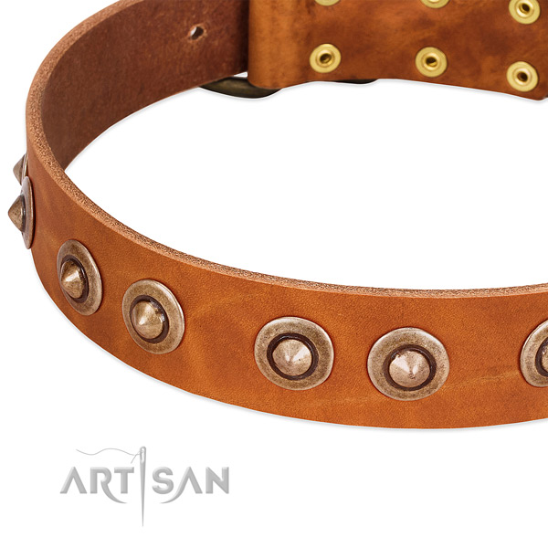 Corrosion proof buckle on full grain genuine leather dog collar for your doggie