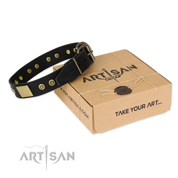 Corrosion proof D-ring on full grain natural leather dog collar for comfortable wearing