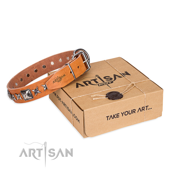 Comfy wearing natural leather dog collar with adornments