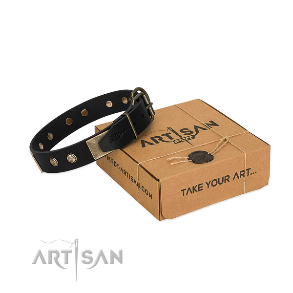 Corrosion resistant fittings on dog collar for everyday use