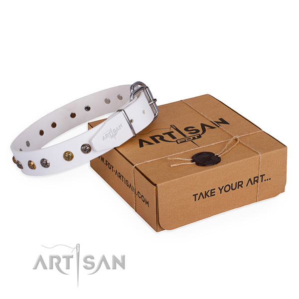 Everyday use dog collar with Amazing reliable adornments