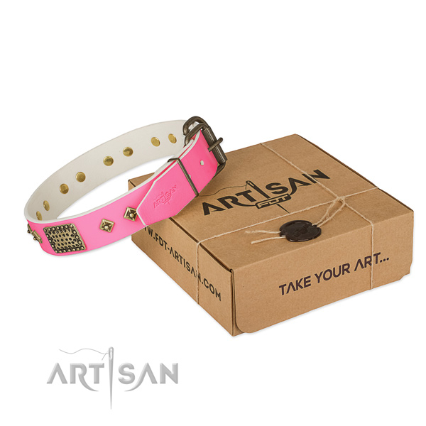 Strong D-ring on dog collar for easy wearing