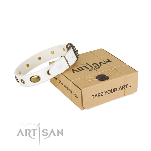 Stunning full grain natural leather collar for your handsome four-legged friend