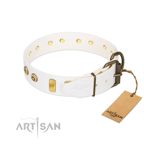 Exceptional adorned full grain natural leather dog collar of soft material