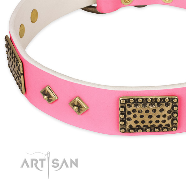 Genuine leather dog collar with embellishments for daily walking