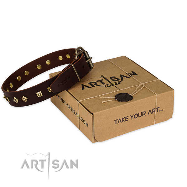 Corrosion resistant fittings on full grain natural leather dog collar for basic training