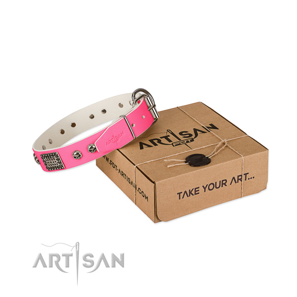 Durable studs on dog collar for easy wearing