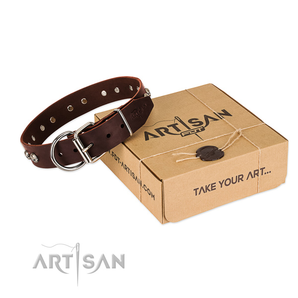Rust-proof hardware on dog collar for comfy wearing