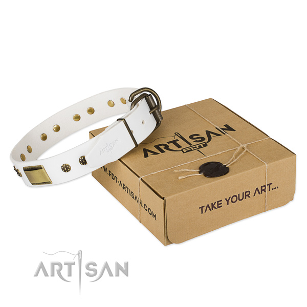 Handmade full grain leather collar for your stylish pet