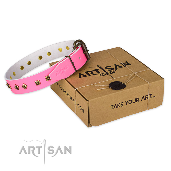 Durable fittings on genuine leather dog collar for daily walking