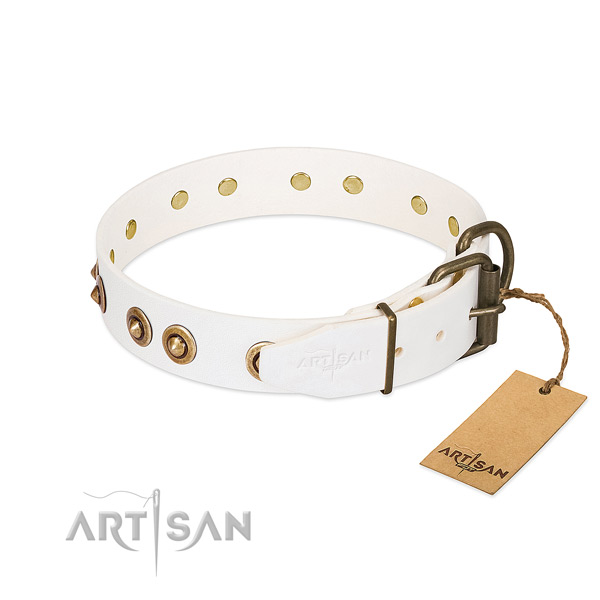 Durable embellishments on full grain leather dog collar for your doggie