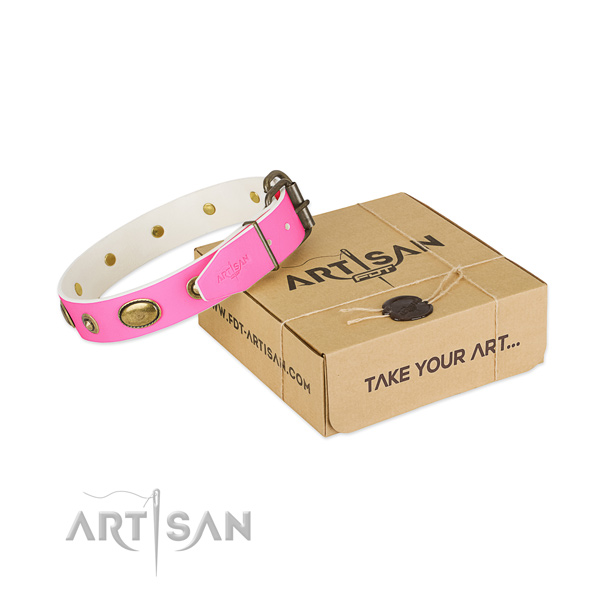 Stylish design genuine leather collar for your beautiful dog