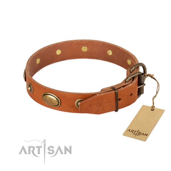 Rust resistant fittings on genuine leather dog collar for your four-legged friend