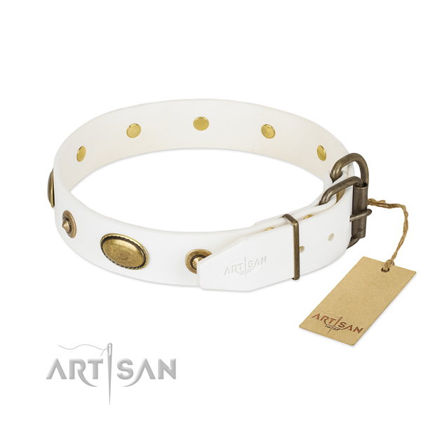 Rust resistant embellishments on leather dog collar for your canine