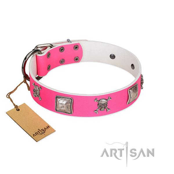 Perfect fit full grain leather collar for your stylish four-legged friend