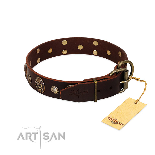Rust-proof decorations on everyday walking dog collar