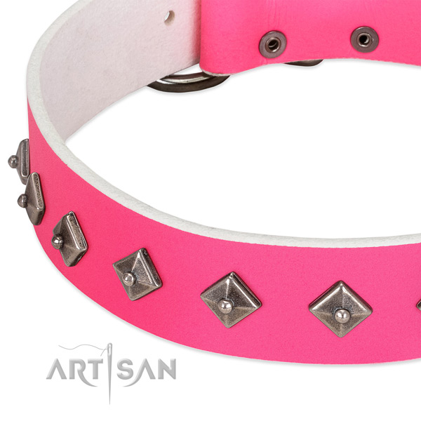 Soft full grain natural leather dog collar with corrosion proof traditional buckle