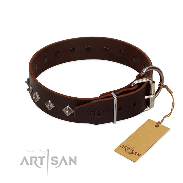 Significant adornments on full grain leather collar for daily use your doggie