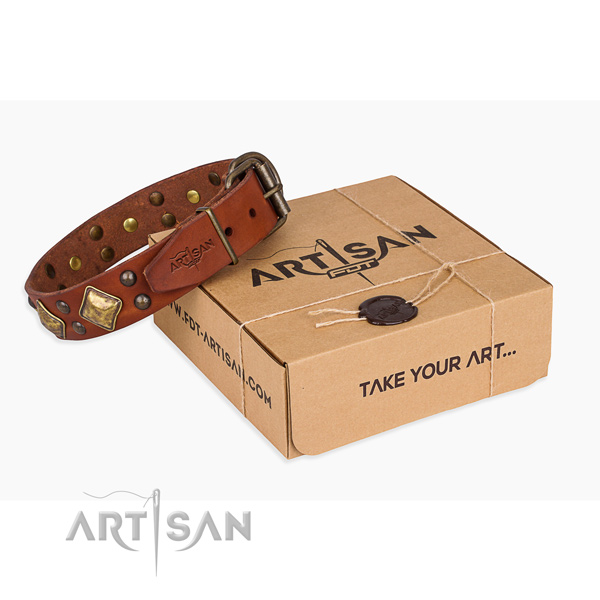 Basic training dog collar with Unusual strong studs