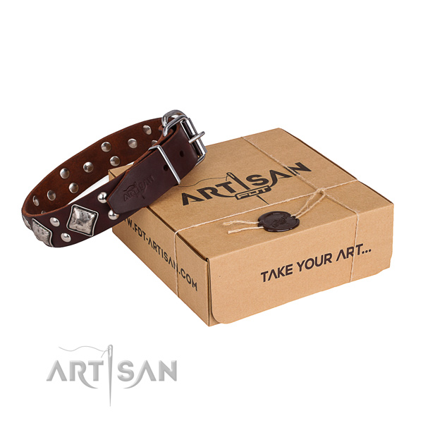 Comfy wearing dog collar with Fashionable reliable studs