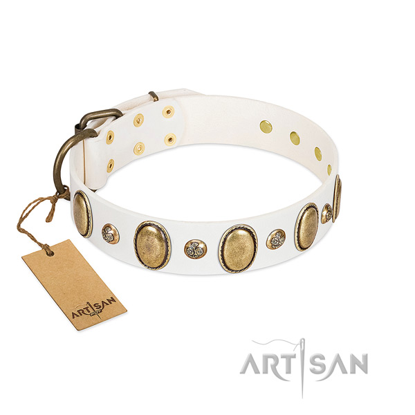 Full grain leather dog collar of gentle to touch material with extraordinary decorations