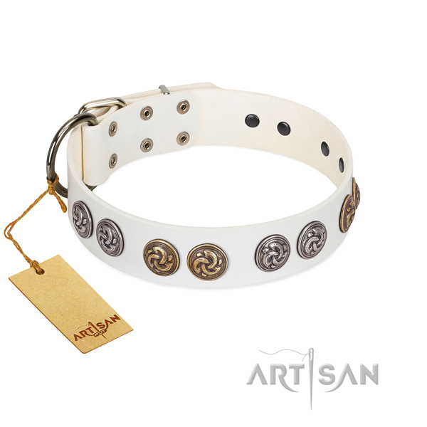 Easy wearing collar of genuine leather for your beautiful doggie