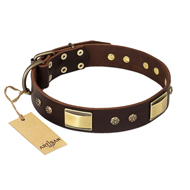 "Rich Fashion" FDT Artisan Decorated Leather Cane Corso Collar with Plates and Studs