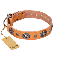 "Twinkle Twinkle" FDT Artisan Incredible Studded Tan Leather Cane Corso Collar