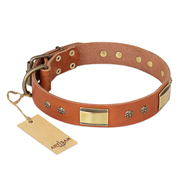 "Enchanting Spectacle" FDT Artisan Tan Leather Cane Corso Collar with Old Bronze Look Plates and Round Studs