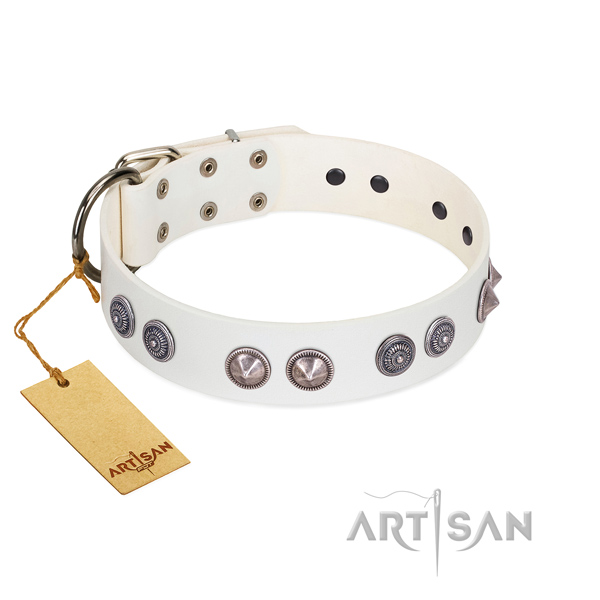 Reliable D-ring on handy use collar for your dog