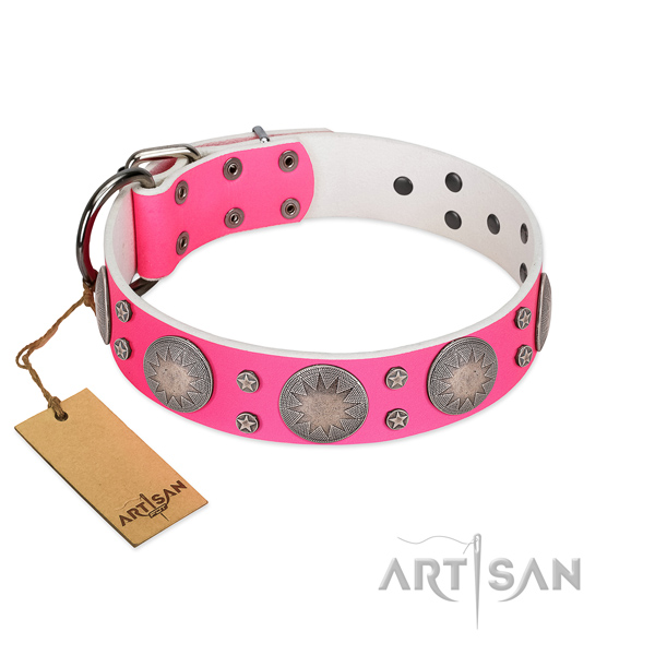 Top rate leather dog collar with studs for stylish walking
