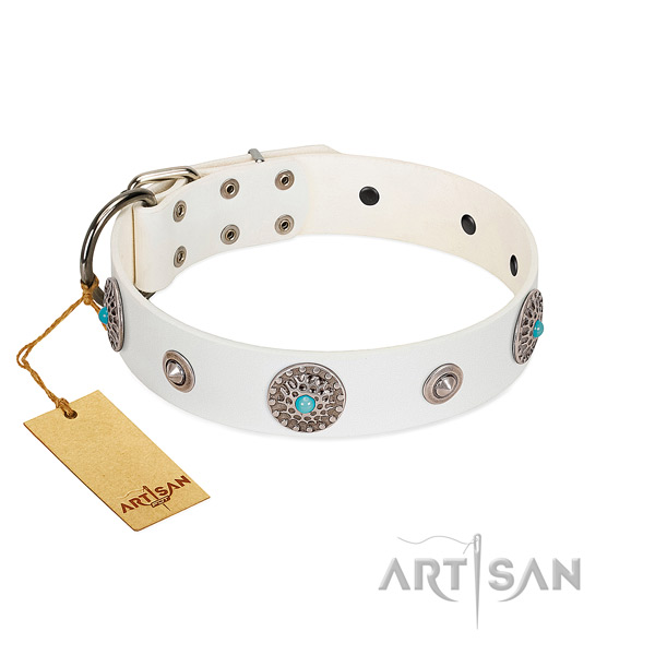 Quality leather dog collar created for your doggie