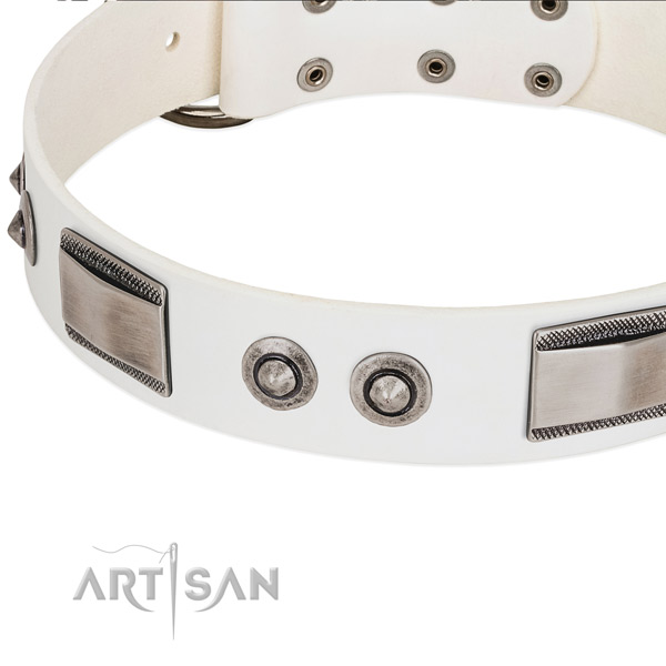Handcrafted dog collar of full grain leather with embellishments
